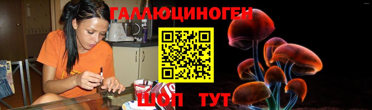 Псилоцибиновые грибы Cubensis Алушта